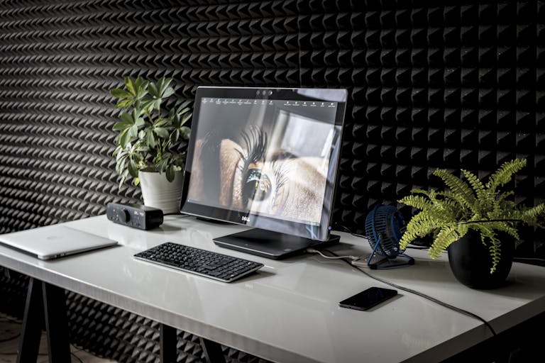 A contemporary desk setup with a desktop computer, keyboard, and green plants in a modern office.